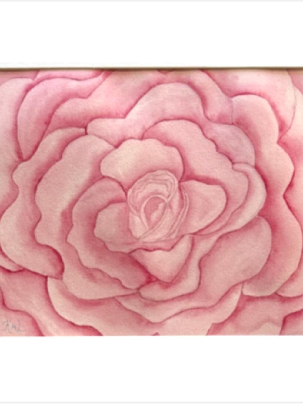 Painting Watercolor Flower Rose Pink 11x14 & White Mat 16x20 Original Art Floral